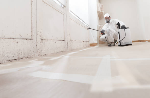 24/7 Emergency Mold Inspection experts in Upperville, VA