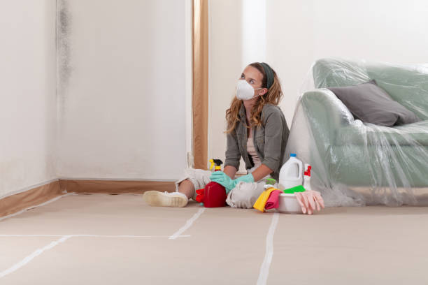 Trusted Basement Mold Remediation service in Upperville, VA - Cheap Mold Removal