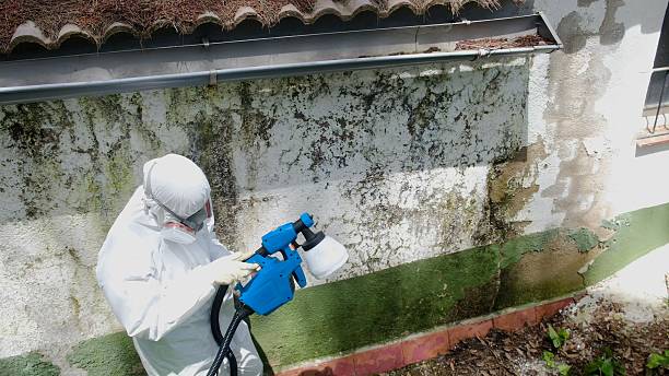 Trusted Mold Testing service in Upperville, VA - Cheap Mold Removal